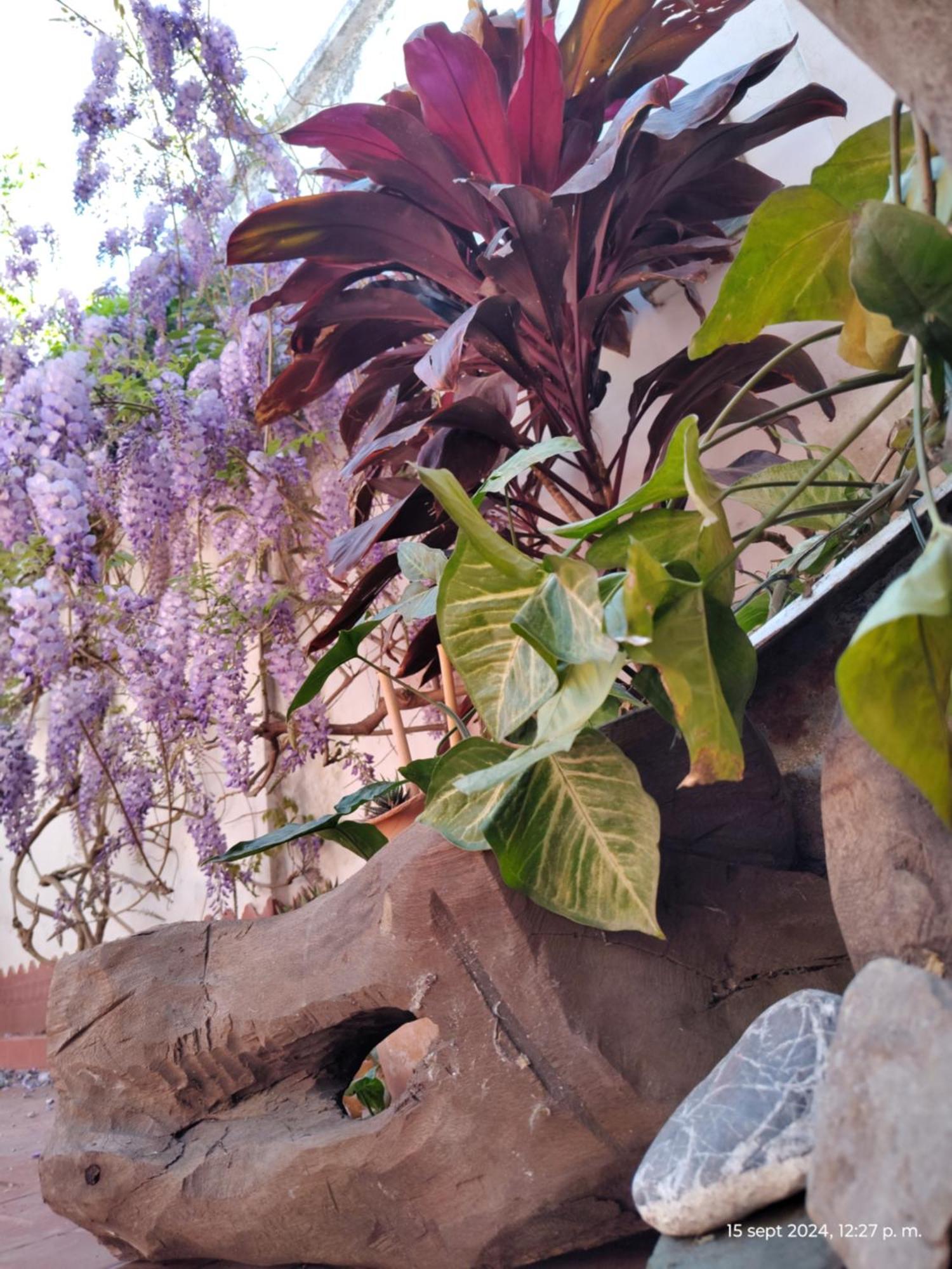 Villa Casa Kuyay San Salvador de Jujuy Esterno foto