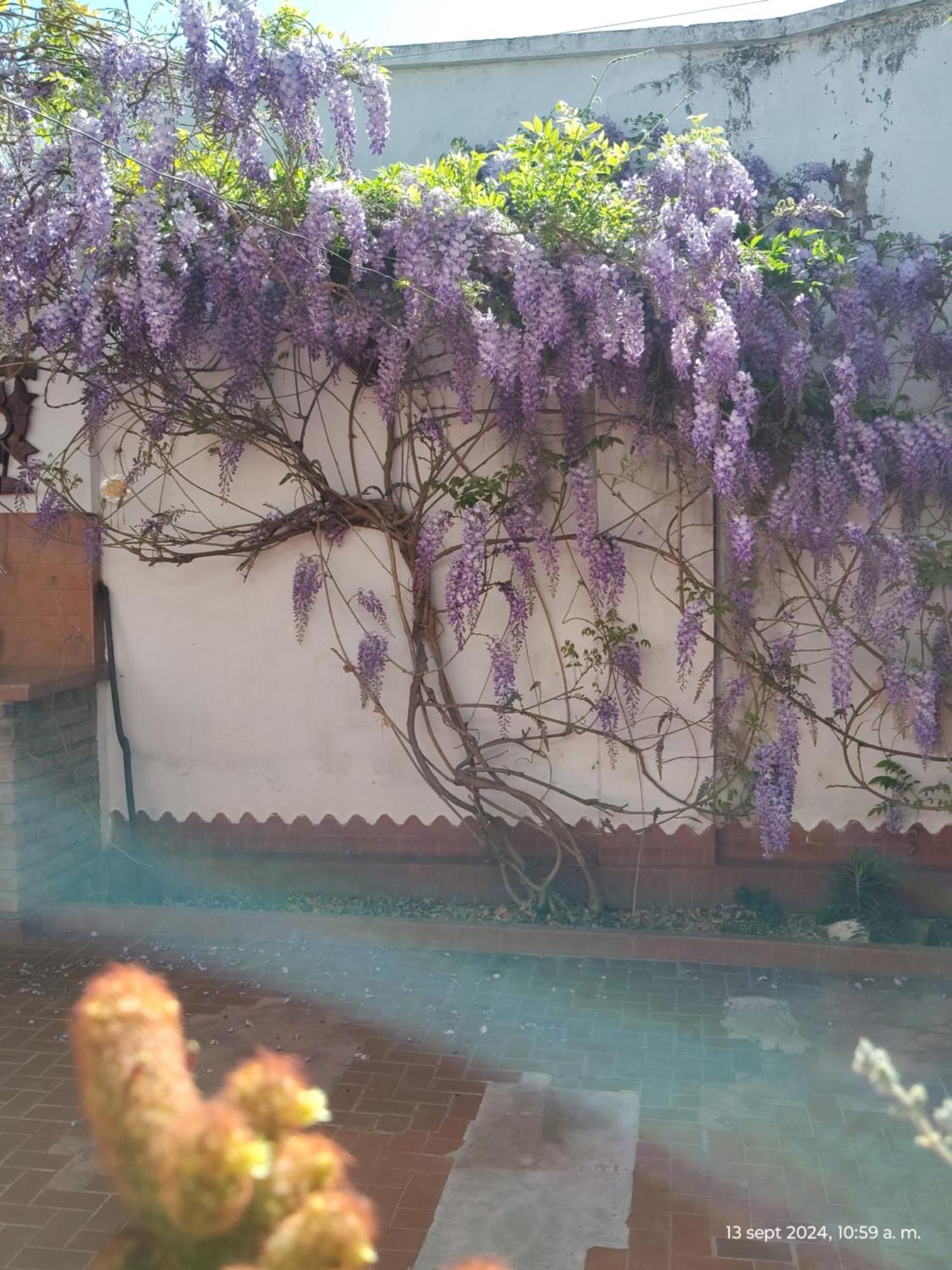 Villa Casa Kuyay San Salvador de Jujuy Esterno foto